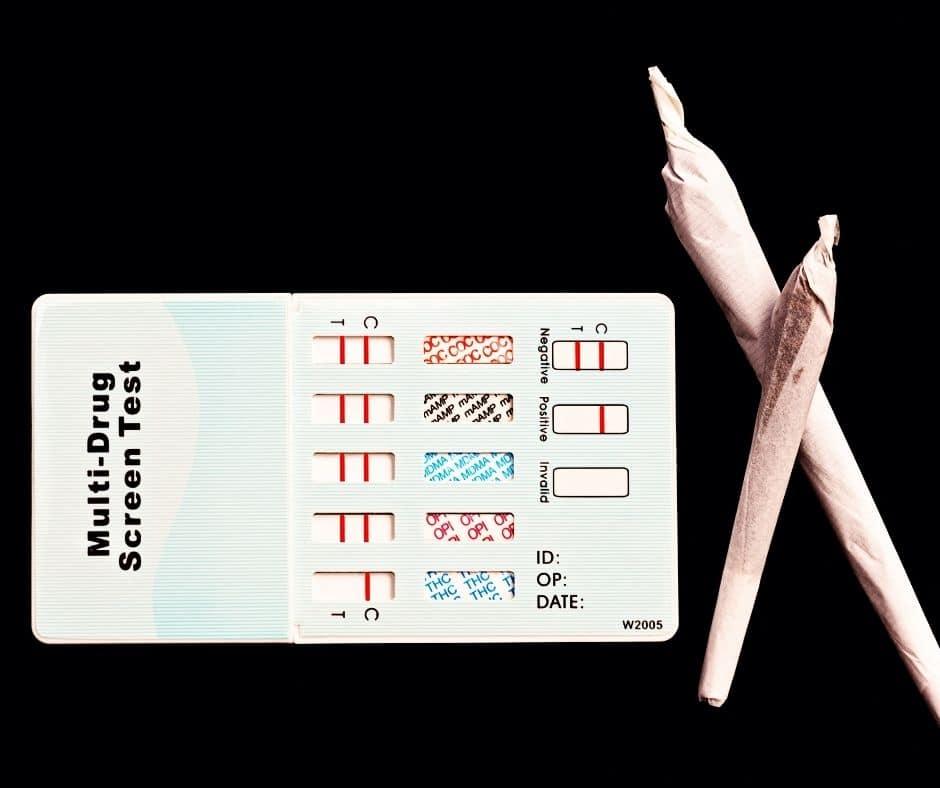 Schlägt CBD beim Drogentest aus? - Gibt es Probleme bei der MPU? - Franky's Farm®