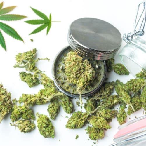 Was bewirken CBD Blüten? - Franky's Farm®