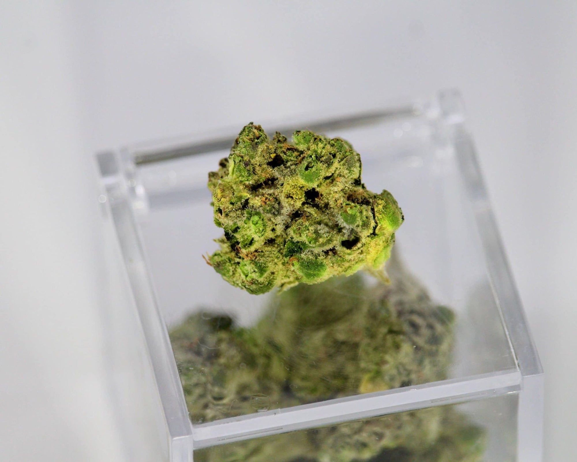 Was genau sind Terpene &amp; Was bringen sie? - Franky's Farm®