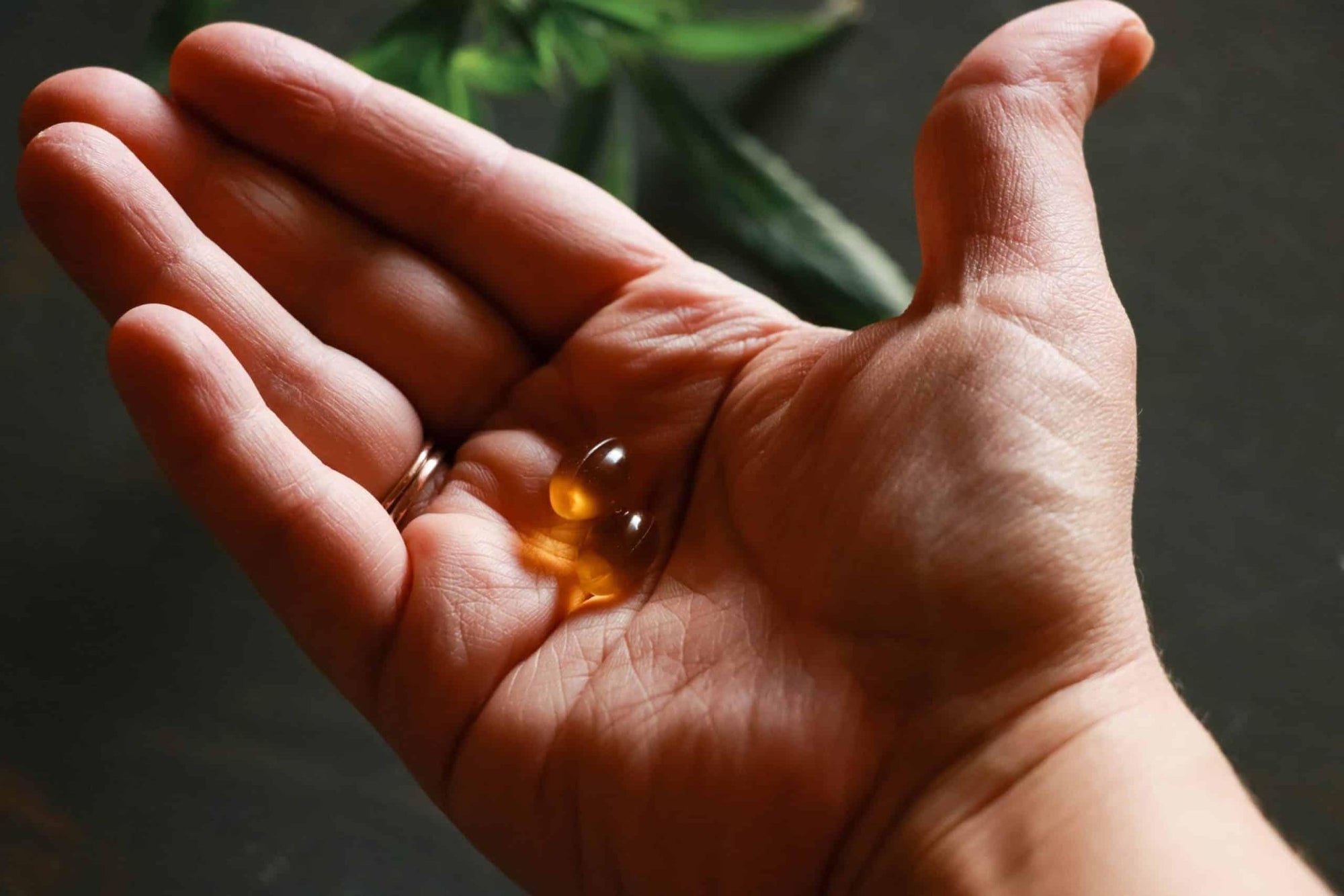 Welche CBD Produkte gibt es? - Franky's Farm®