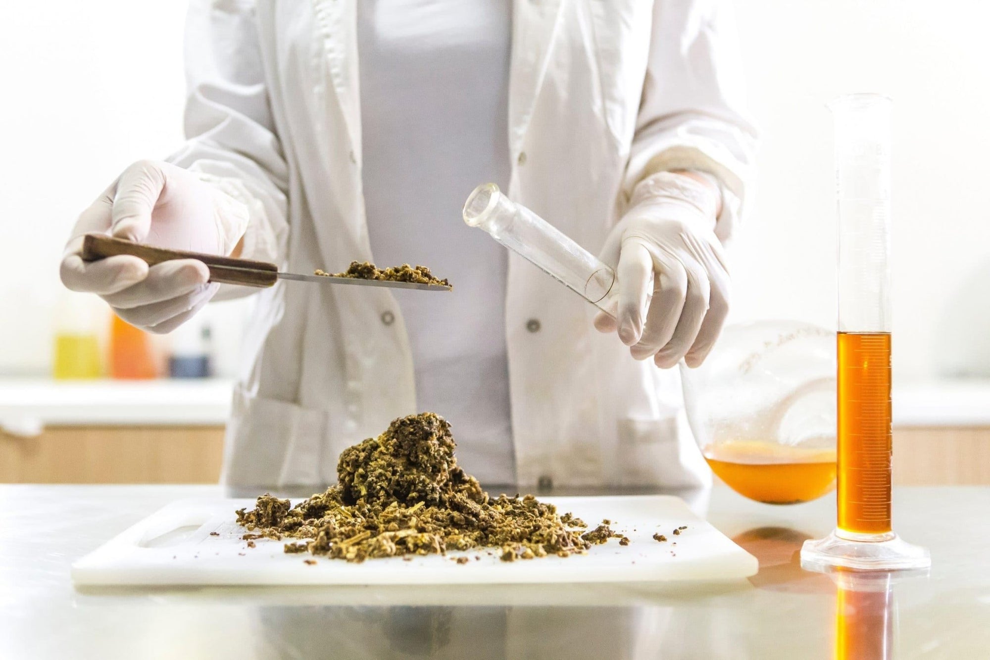Wer hat CBD entdeckt? - Franky's Farm®