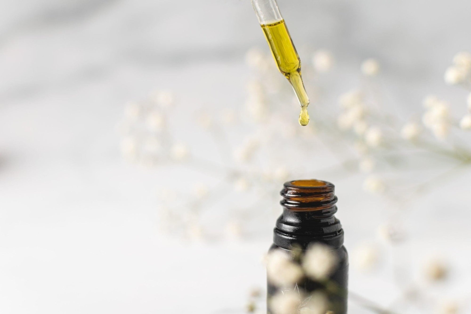 Wie wird CBD Öl extrahiert? - Franky's Farm®