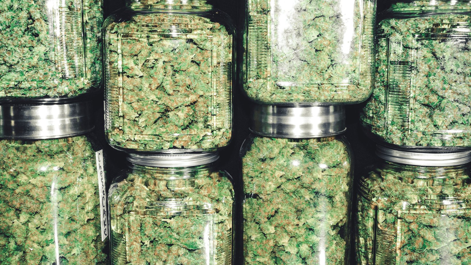 Wo bekommt man gutes CBD Gras? - Franky's Farm®