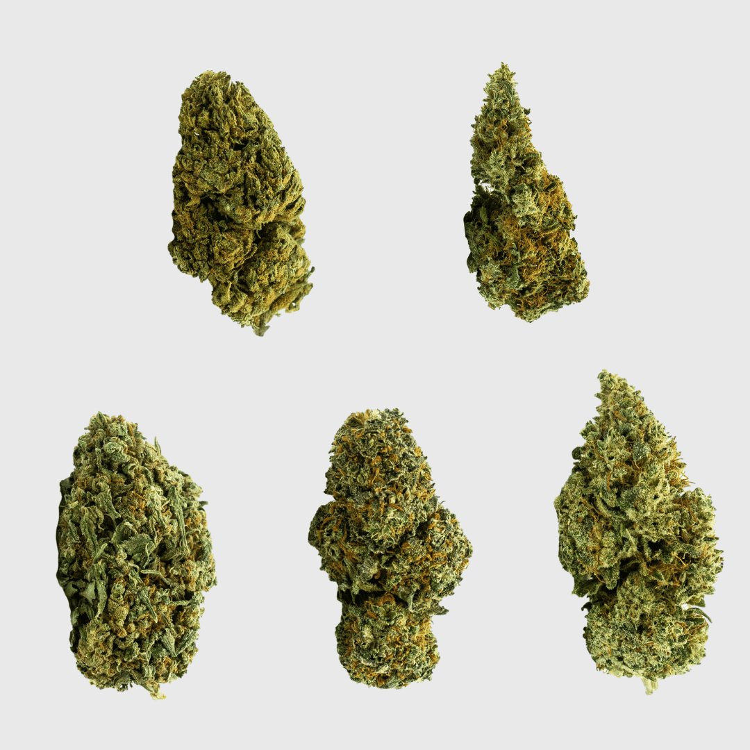 5 Sorten Premium - Good Night Amne, Tegridy, Lemon Haze, Hawaiian Skunk, OG Sour, Strawberry - Nature Labs